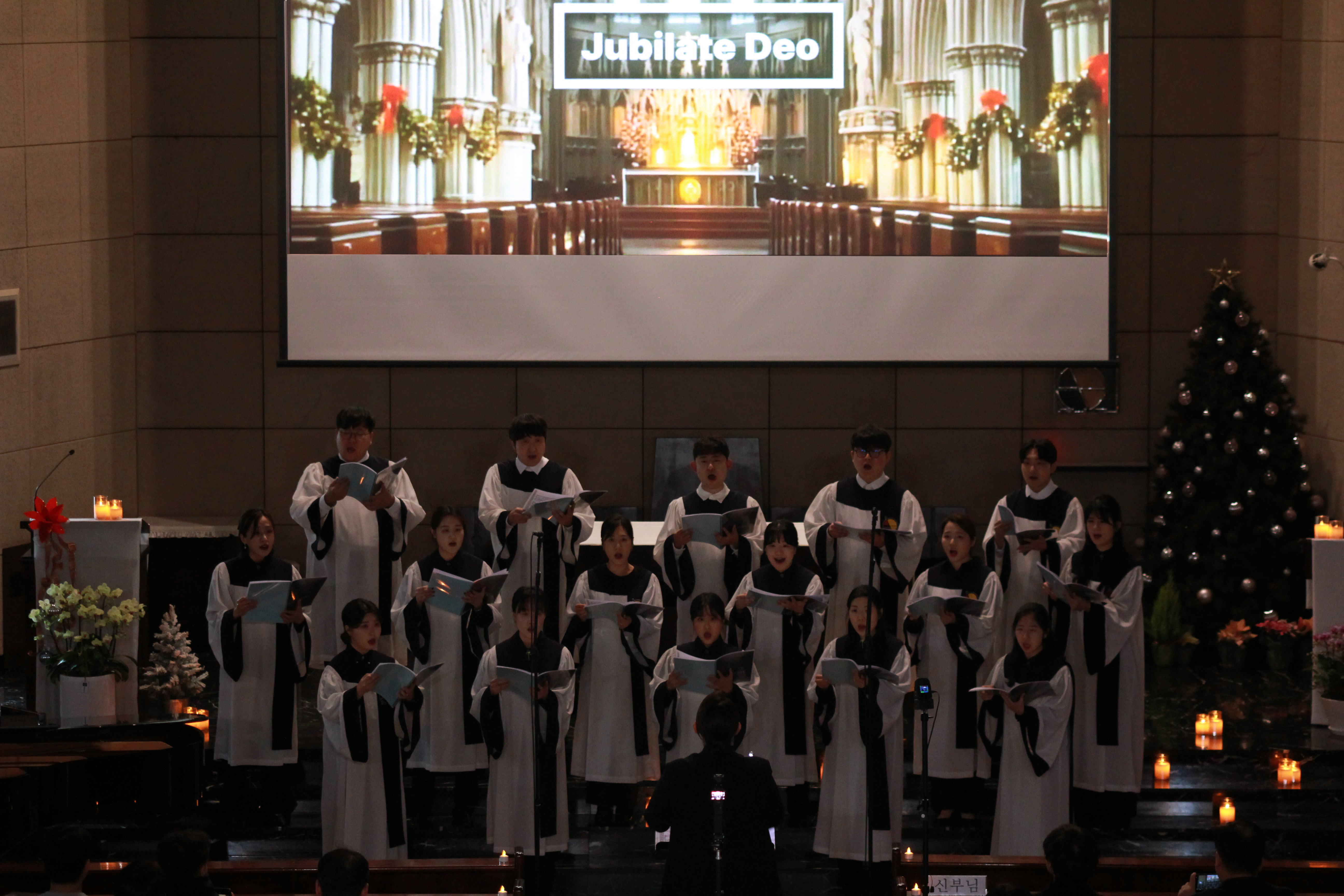 송파동성당 청년회 활동 3